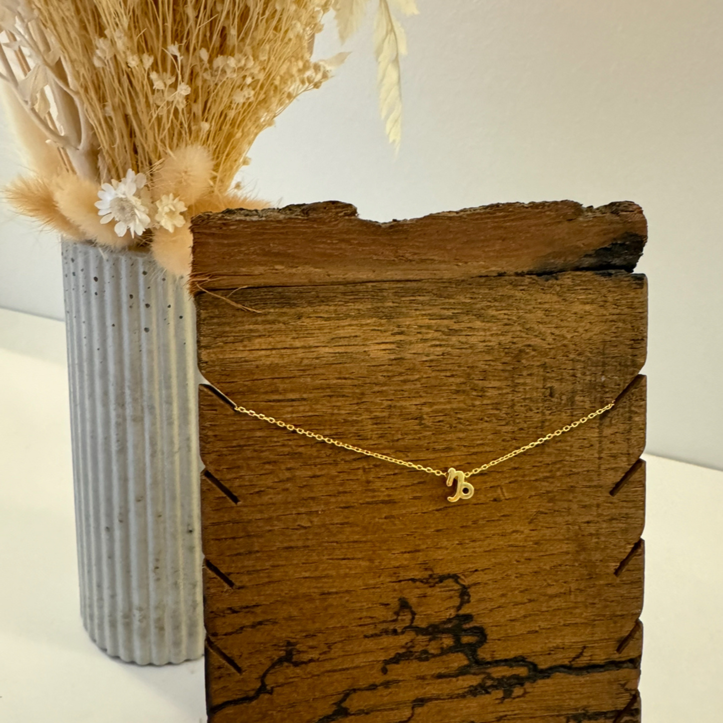 Minimal Zodiac Necklace